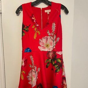 Ted Baker London Dress
